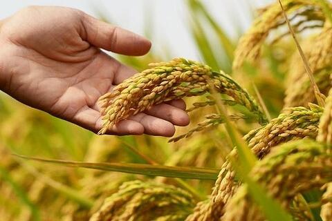 <a href="/chuyen-dong-kinh-te" title="Chuyển động kinh tế" rel="dofollow">Chuyển động kinh tế</a>