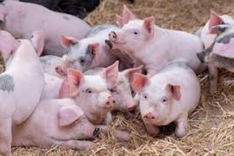 <a href="/chuyen-dong-kinh-te" title="Chuyển động kinh tế" rel="dofollow">Chuyển động kinh tế</a>