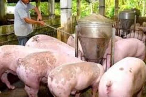 <a href="/chuyen-dong-kinh-te" title="Chuyển động kinh tế" rel="dofollow">Chuyển động kinh tế</a>