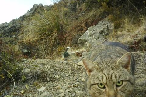 <a href="/thoi-su" title="Thời sự" rel="dofollow">Thời sự</a>