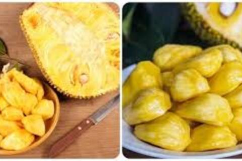 Xuất khẩu mít tươi Việt Nam: Cơ hội mới sang thị trường Trung Quốc