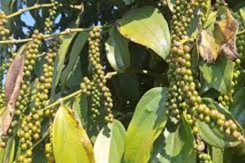 <a href="/chuyen-dong-kinh-te" title="Chuyển động kinh tế" rel="dofollow">Chuyển động kinh tế</a>