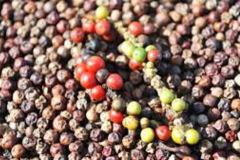 <a href="/chuyen-dong-kinh-te" title="Chuyển động kinh tế" rel="dofollow">Chuyển động kinh tế</a>