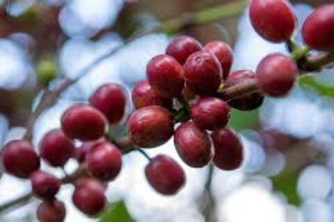 <a href="/chuyen-dong-kinh-te" title="Chuyển động kinh tế" rel="dofollow">Chuyển động kinh tế</a>