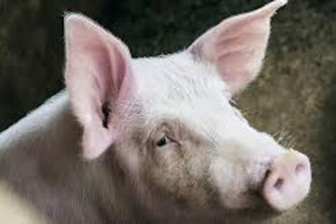 <a href="/chuyen-dong-kinh-te" title="Chuyển động kinh tế" rel="dofollow">Chuyển động kinh tế</a>