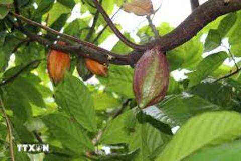 <a href="/chuyen-dong-kinh-te" title="Chuyển động kinh tế" rel="dofollow">Chuyển động kinh tế</a>