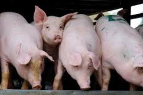 <a href="/chuyen-dong-kinh-te" title="Chuyển động kinh tế" rel="dofollow">Chuyển động kinh tế</a>