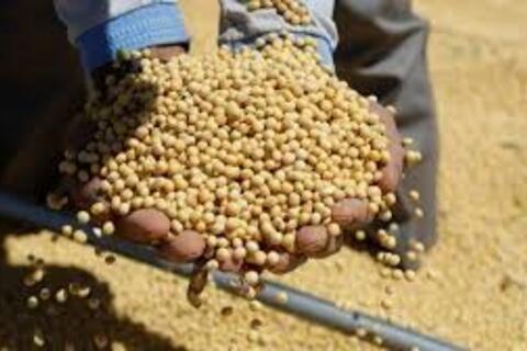 <a href="/chuyen-dong-kinh-te" title="Chuyển động kinh tế" rel="dofollow">Chuyển động kinh tế</a>