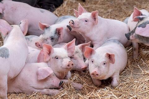 <a href="/chuyen-dong-kinh-te" title="Chuyển động kinh tế" rel="dofollow">Chuyển động kinh tế</a>