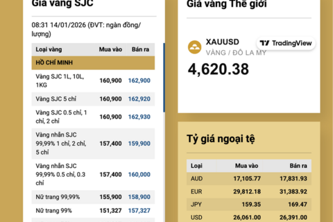 <a href="/chuyen-dong-kinh-te" title="Chuyển động kinh tế" rel="dofollow">Chuyển động kinh tế</a>