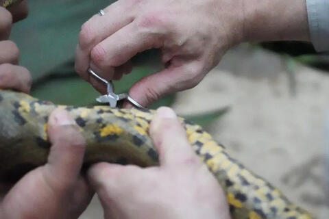 <a href="/thoi-su" title="Thời sự" rel="dofollow">Thời sự</a>