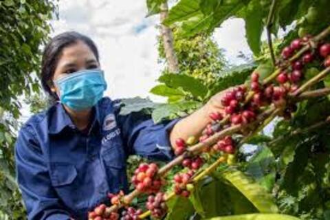 <a href="/chuyen-dong-kinh-te" title="Chuyển động kinh tế" rel="dofollow">Chuyển động kinh tế</a>