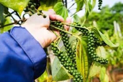 <a href="/chuyen-dong-kinh-te" title="Chuyển động kinh tế" rel="dofollow">Chuyển động kinh tế</a>