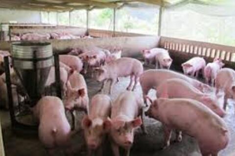 <a href="/chuyen-dong-kinh-te" title="Chuyển động kinh tế" rel="dofollow">Chuyển động kinh tế</a>