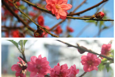 <a href="/chuyen-dong-kinh-te" title="Chuyển động kinh tế" rel="dofollow">Chuyển động kinh tế</a>