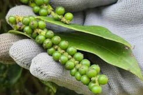 <a href="/chuyen-dong-kinh-te" title="Chuyển động kinh tế" rel="dofollow">Chuyển động kinh tế</a>