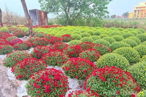 <a href="/chuyen-dong-kinh-te" title="Chuyển động kinh tế" rel="dofollow">Chuyển động kinh tế</a>