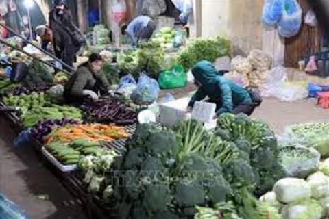 Bảo đảm an toàn thực phẩm, phòng ngừa ngộ độc dịp Tết, lễ hội Xuân 2026