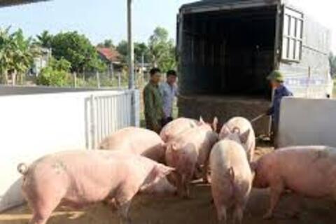 <a href="/chuyen-dong-kinh-te" title="Chuyển động kinh tế" rel="dofollow">Chuyển động kinh tế</a>