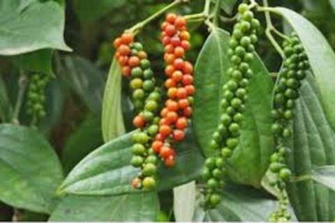 <a href="/chuyen-dong-kinh-te" title="Chuyển động kinh tế" rel="dofollow">Chuyển động kinh tế</a>