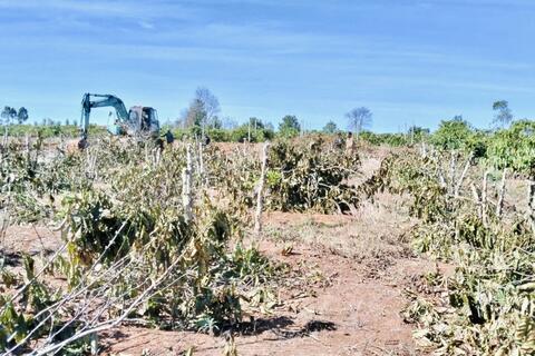 <a href="/thoi-su" title="Thời sự" rel="dofollow">Thời sự</a>