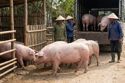 <a href="/chuyen-dong-kinh-te" title="Chuyển động kinh tế" rel="dofollow">Chuyển động kinh tế</a>