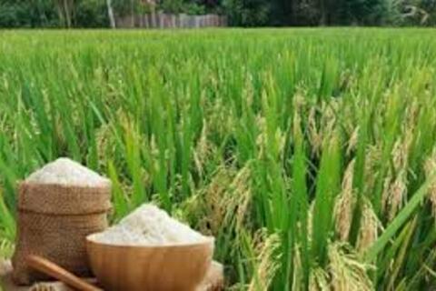 <a href="/chuyen-dong-kinh-te" title="Chuyển động kinh tế" rel="dofollow">Chuyển động kinh tế</a>