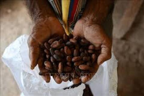 <a href="/chuyen-dong-kinh-te" title="Chuyển động kinh tế" rel="dofollow">Chuyển động kinh tế</a>