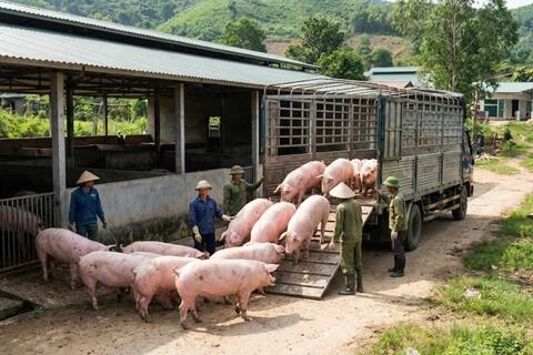 <a href="/chuyen-dong-kinh-te" title="Chuyển động kinh tế" rel="dofollow">Chuyển động kinh tế</a>