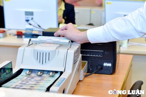 Doanh nghiệp đào tạo ‘làm giàu’ doanh thu quý IV/2025 lao dốc 92%, lợi nhuận năm tăng nhờ đầu tư tài chính