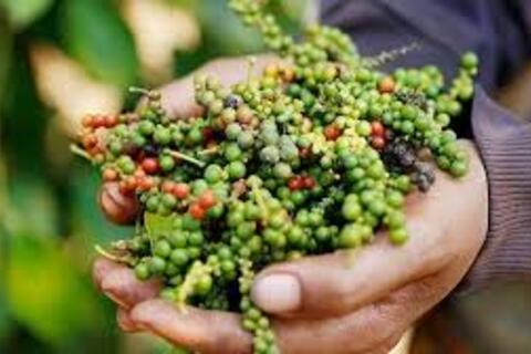 <a href="/chuyen-dong-kinh-te" title="Chuyển động kinh tế" rel="dofollow">Chuyển động kinh tế</a>