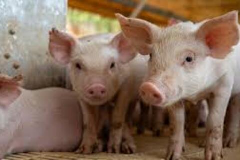 <a href="/chuyen-dong-kinh-te" title="Chuyển động kinh tế" rel="dofollow">Chuyển động kinh tế</a>