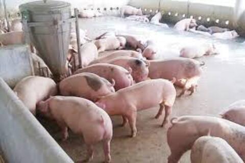 <a href="/chuyen-dong-kinh-te" title="Chuyển động kinh tế" rel="dofollow">Chuyển động kinh tế</a>