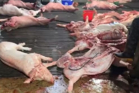 <a href="/chuyen-dong-kinh-te" title="Chuyển động kinh tế" rel="dofollow">Chuyển động kinh tế</a>