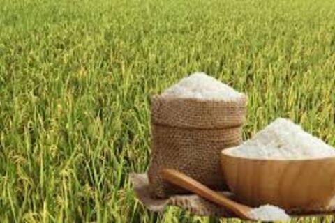 <a href="/chuyen-dong-kinh-te" title="Chuyển động kinh tế" rel="dofollow">Chuyển động kinh tế</a>