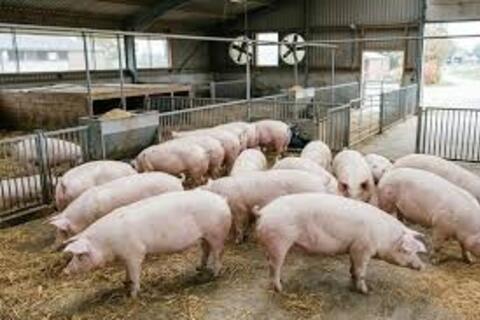 <a href="/chuyen-dong-kinh-te" title="Chuyển động kinh tế" rel="dofollow">Chuyển động kinh tế</a>