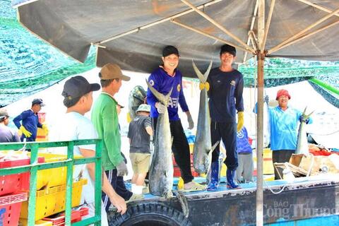 Chuẩn hóa sản xuất, Gia Lai hướng mục tiêu xuất khẩu 3,05 tỷ USD