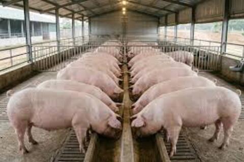 <a href="/chuyen-dong-kinh-te" title="Chuyển động kinh tế" rel="dofollow">Chuyển động kinh tế</a>