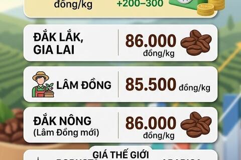 <a href="/chuyen-dong-kinh-te" title="Chuyển động kinh tế" rel="dofollow">Chuyển động kinh tế</a>