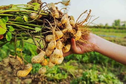 <a href="/chuyen-dong-kinh-te" title="Chuyển động kinh tế" rel="dofollow">Chuyển động kinh tế</a>