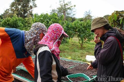 <a href="/chuyen-dong-kinh-te" title="Chuyển động kinh tế" rel="dofollow">Chuyển động kinh tế</a>