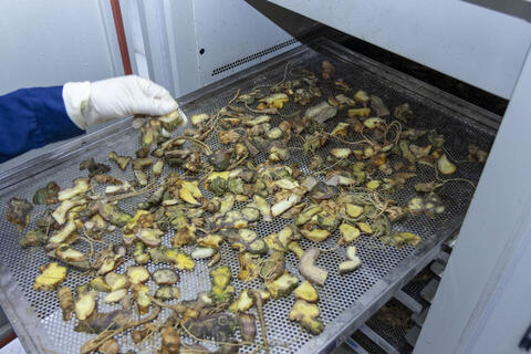 <a href="/chuyen-dong-kinh-te" title="Chuyển động kinh tế" rel="dofollow">Chuyển động kinh tế</a>