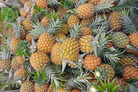 <a href="/chuyen-dong-kinh-te" title="Chuyển động kinh tế" rel="dofollow">Chuyển động kinh tế</a>