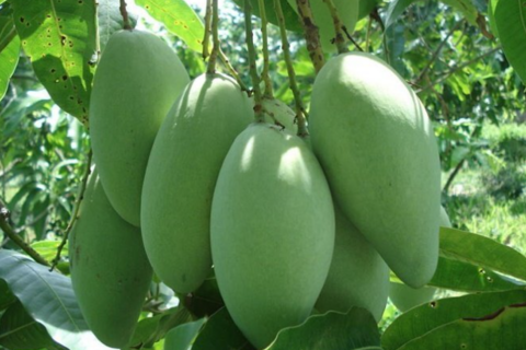 <a href="/chuyen-dong-kinh-te" title="Chuyển động kinh tế" rel="dofollow">Chuyển động kinh tế</a>