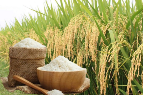 <a href="/chuyen-dong-kinh-te" title="Chuyển động kinh tế" rel="dofollow">Chuyển động kinh tế</a>