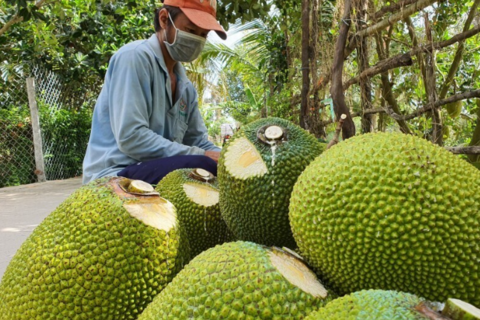 <a href="/chuyen-dong-kinh-te" title="Chuyển động kinh tế" rel="dofollow">Chuyển động kinh tế</a>