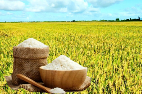 <a href="/chuyen-dong-kinh-te" title="Chuyển động kinh tế" rel="dofollow">Chuyển động kinh tế</a>