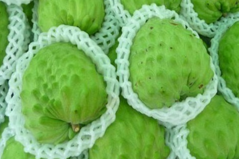 <a href="/chuyen-dong-kinh-te" title="Chuyển động kinh tế" rel="dofollow">Chuyển động kinh tế</a>