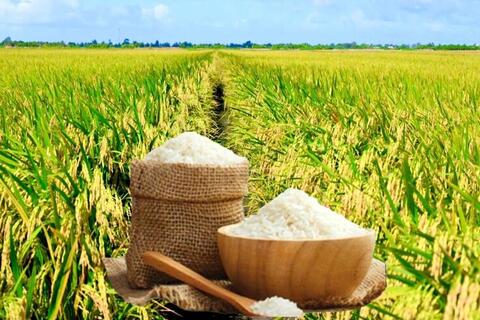 <a href="/chuyen-dong-kinh-te" title="Chuyển động kinh tế" rel="dofollow">Chuyển động kinh tế</a>