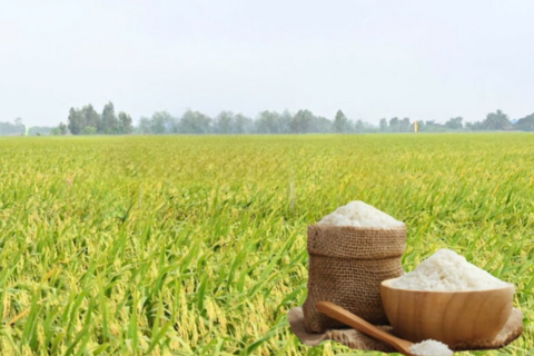 <a href="/chuyen-dong-kinh-te" title="Chuyển động kinh tế" rel="dofollow">Chuyển động kinh tế</a>